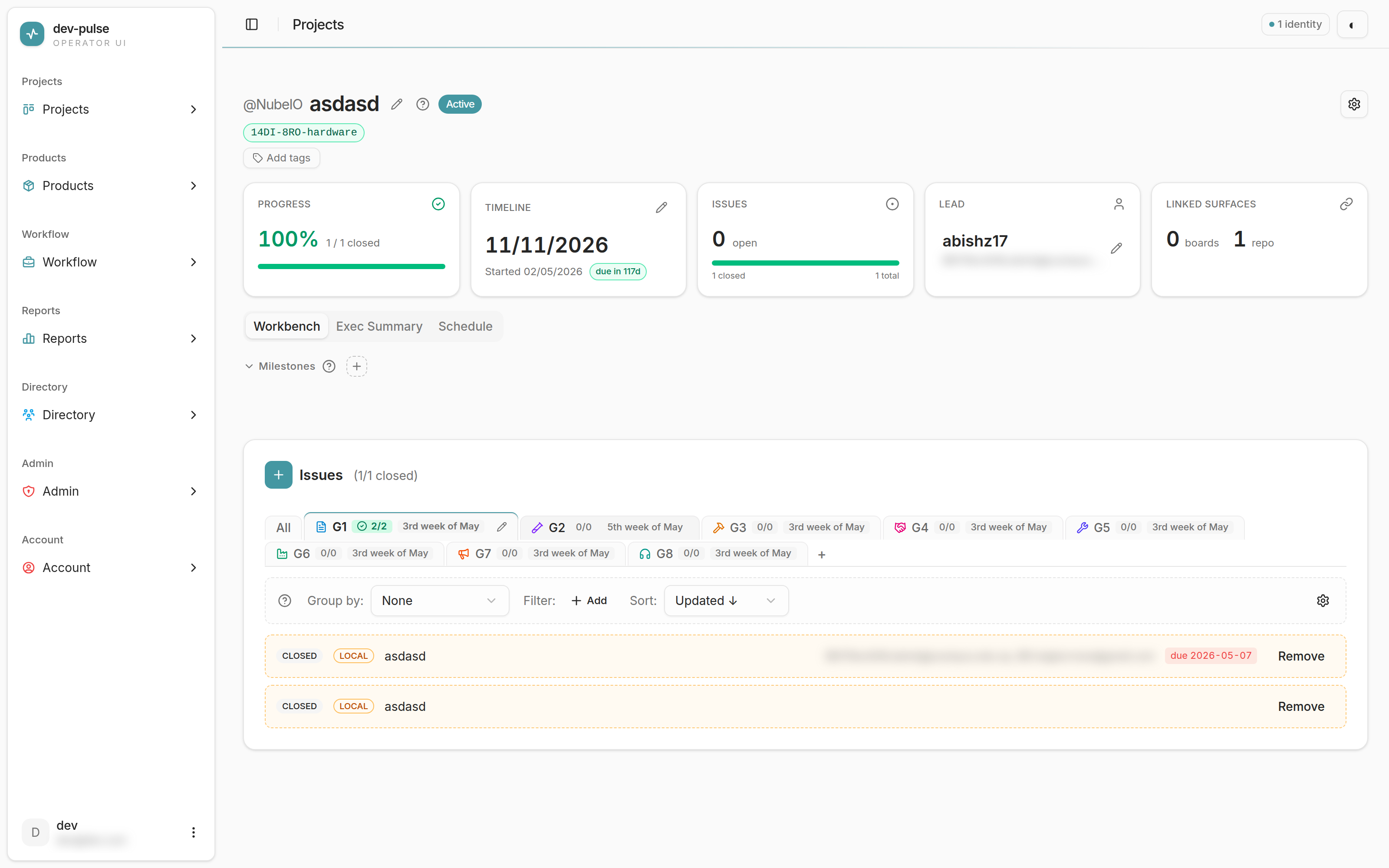 A project detail page — header, KPI tiles, tabs, milestones strip, and the issue workbench
